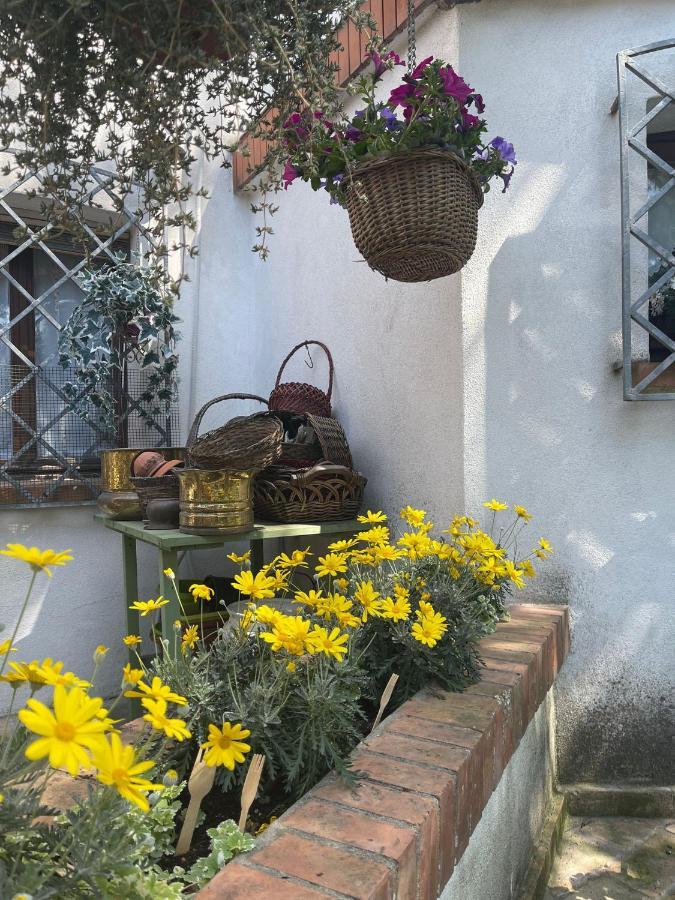 La Bricola Ξενοδοχείο Cavallino-Treporti Εξωτερικό φωτογραφία