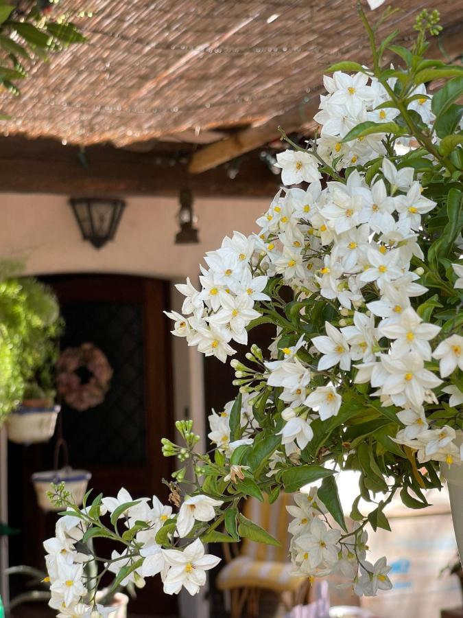 La Bricola Ξενοδοχείο Cavallino-Treporti Εξωτερικό φωτογραφία